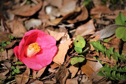 欠点を「消し去りたい」あなたへ…