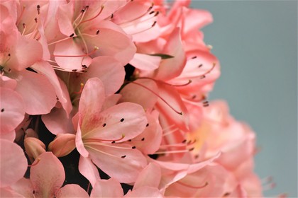みんな別々の「世界」に生きている？！